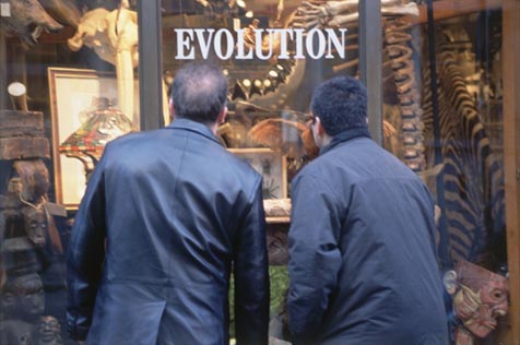Evolution
