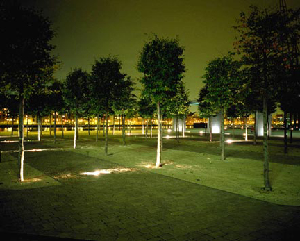 "miniature forests"