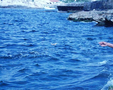 "over uncharted waters"