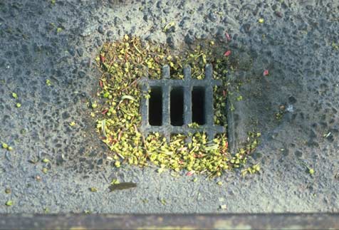 "Gutter"