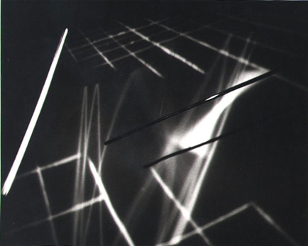 "Vector Image Wall"
